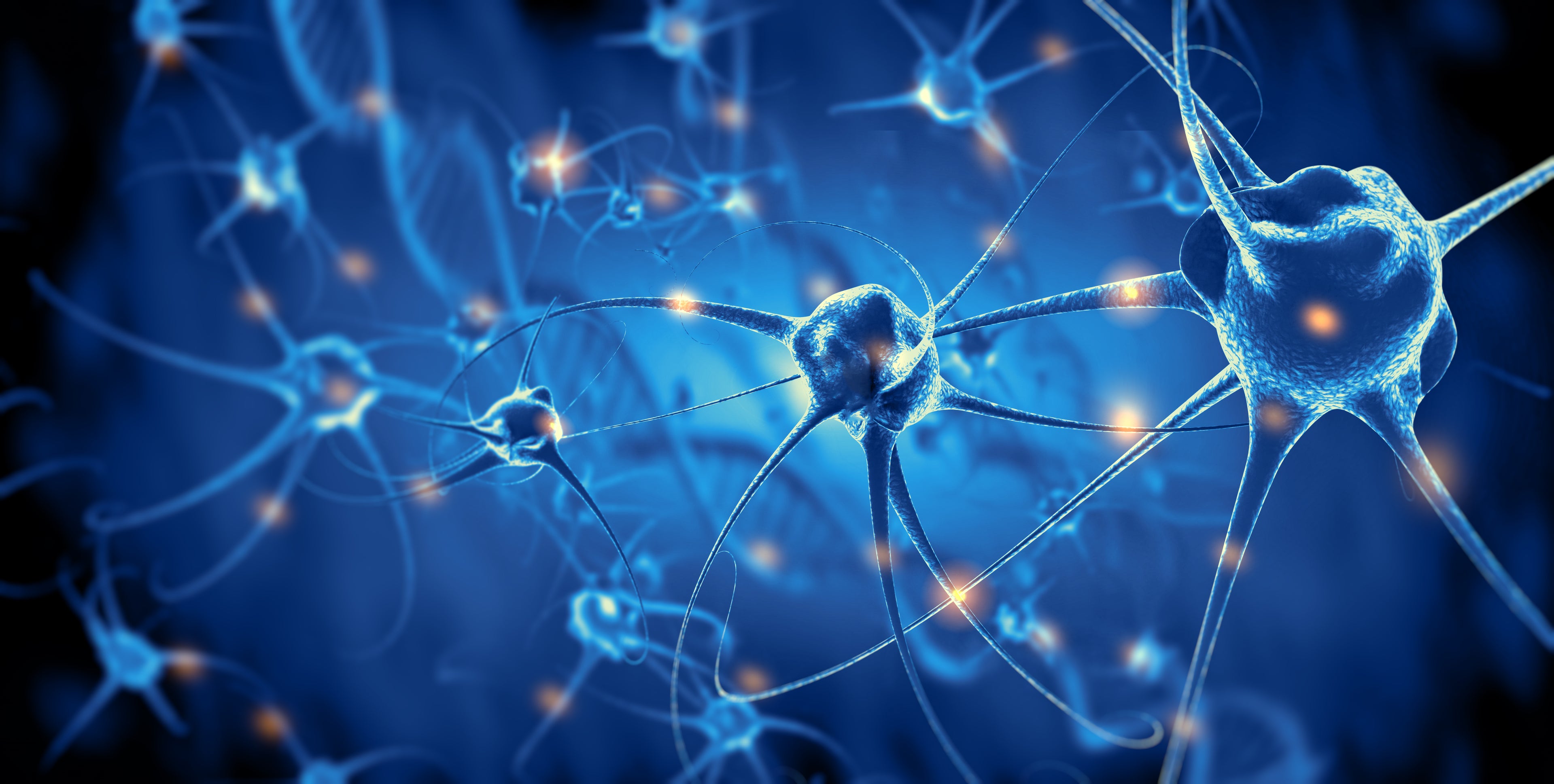 active-nerve-cells.jpeg__PID:f8a7973b-9ee2-4f5e-ab76-f06acdf3862a